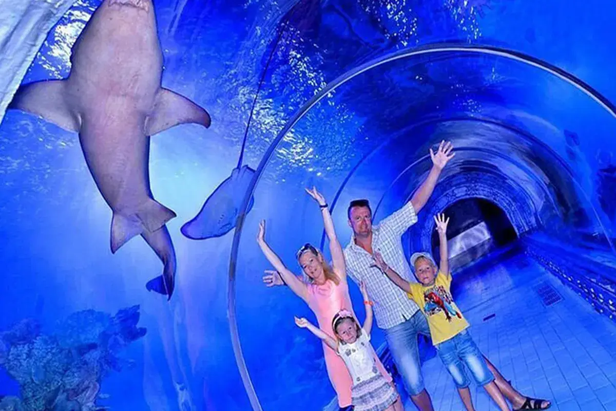 Grand Aquarium Hurghada – rekiny i życie morskie