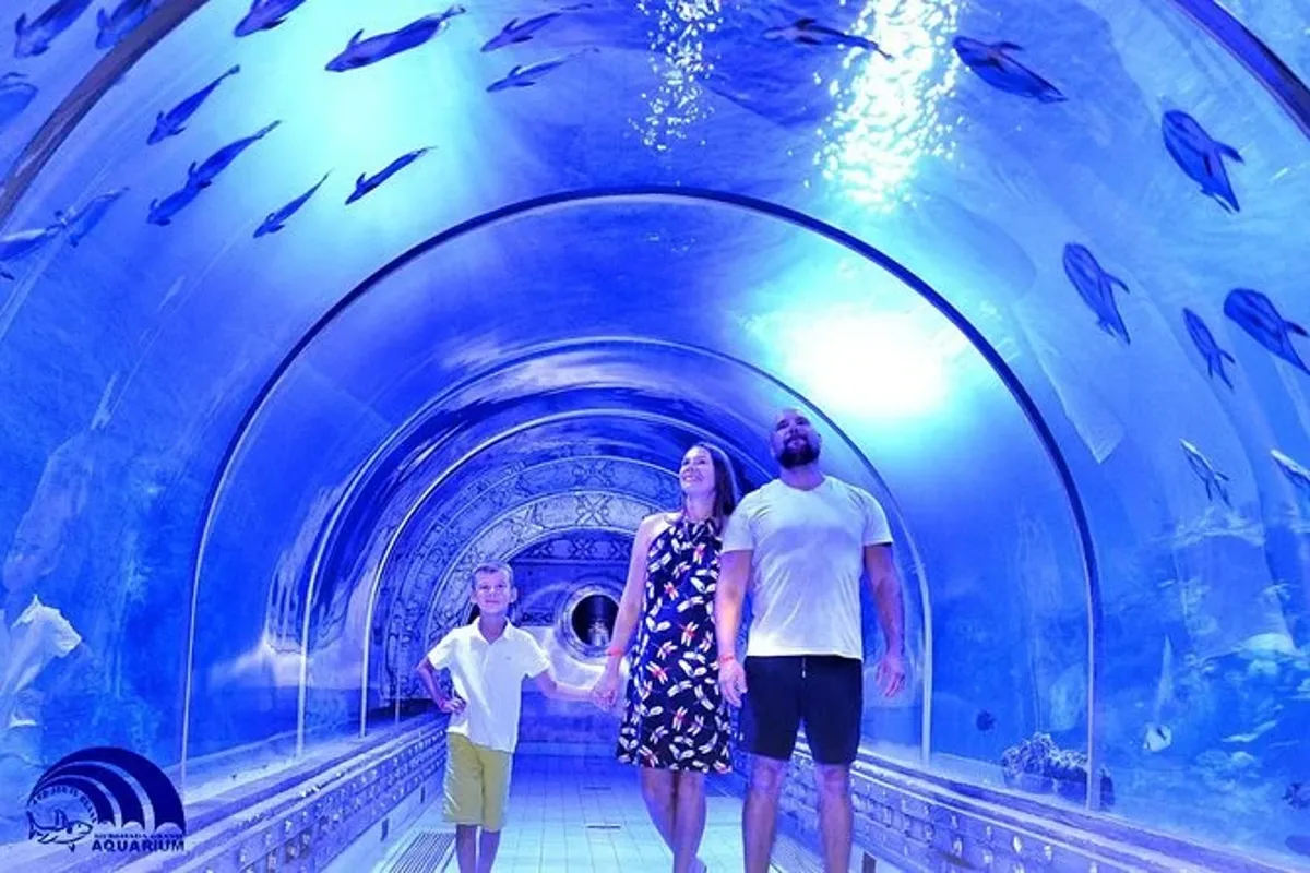 Grand Aquarium Hurghada – akwarium z rekinami i życiem morskim