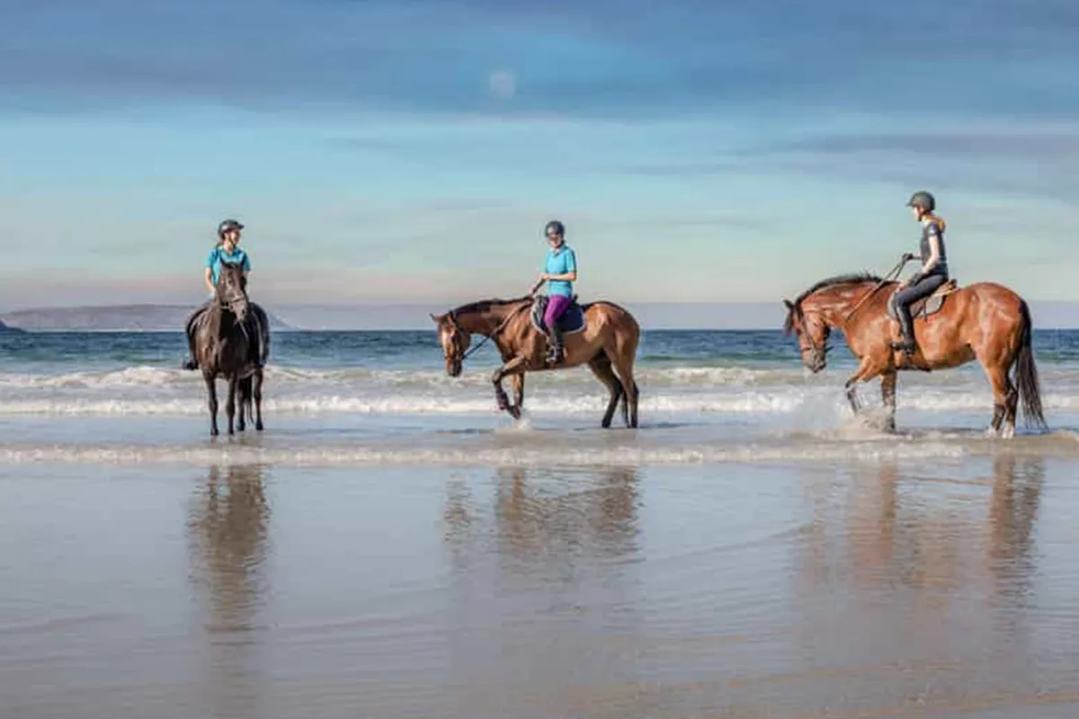 Jazda konna Hurghada – przejażdżka po plaży i pustyni nad Morzem Czerwonym