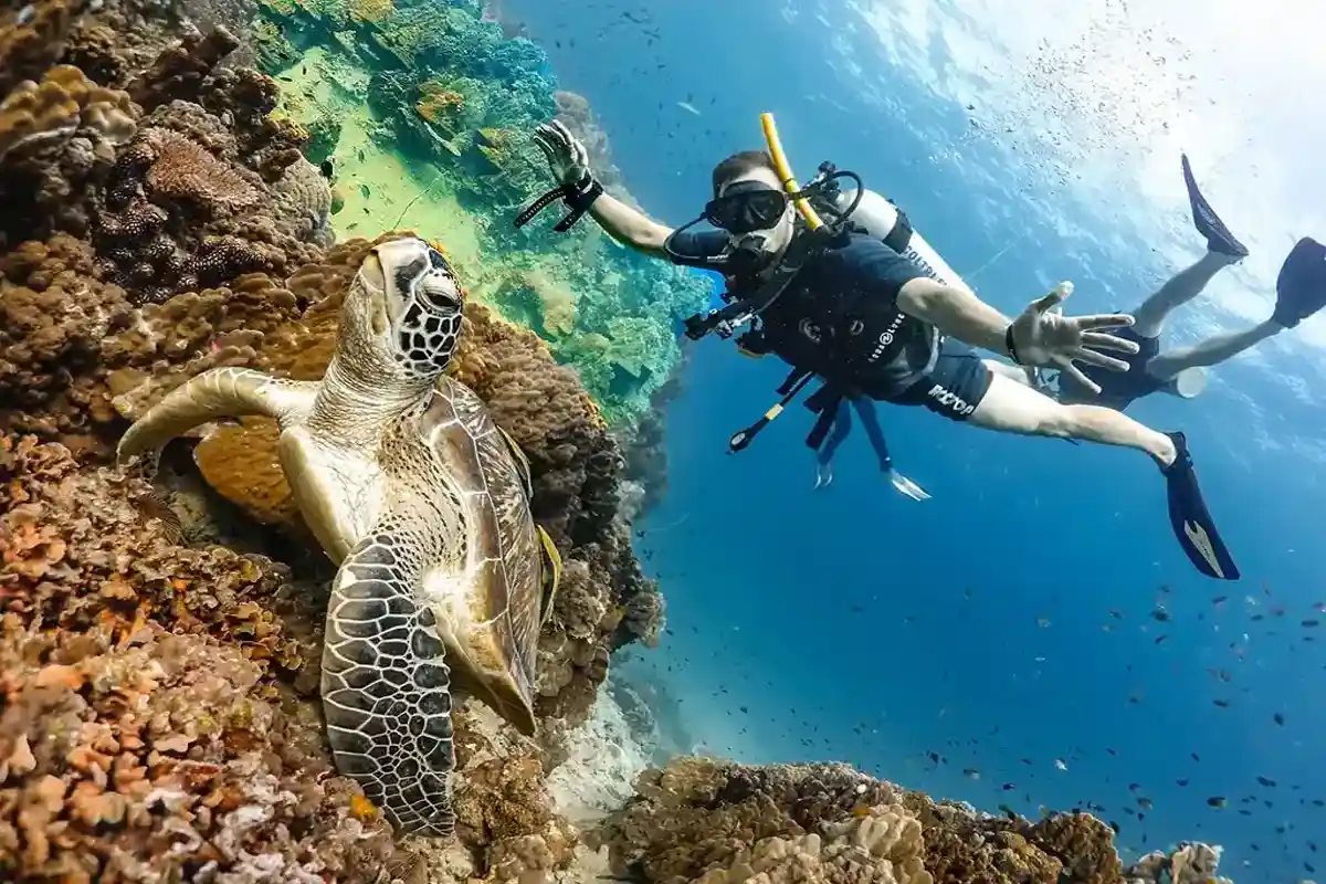 Nurkowanie Intro Hurghada – odkryj rafy koralowe Morza Czerwonego